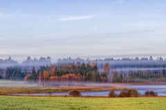 misty lake